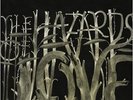 The Hazards Of Love [VINYL] The Decemberists Vinyl