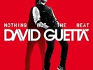 DAVID GUETTA NOTHING BUT THE BEAT LP VINYL 33RPM BRAND NEW