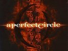 Perfect Circle - Mer de Noms [Explicit Lyrics] (Vinyl)