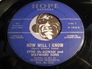 SYNG McGOWAN & WAYWARD SONS Doowop 45 Hope #1846 How Will I Know w/ grp Symapthy