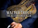 WALTER TROUT THE BLUES CAME CALLIN LP VINYL 33RPM NEW 2014