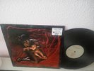Afghan Whigs - Congregation vinyl LP (SUBPOP SP28/183)  grunge  , nirvana, pearl