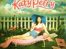 Katy Perry One of the Boys Vinyl LP New (2 Discs)