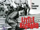 LITTLE RICHARD - The Essential Tracks 2-LP + mp3