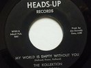 KOLLEKTION usa 45 SAVAGE LOST/MY WORLD IS EMPTY WITHOUT YOU 7