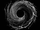 DAWN OF MIDI - DYSNOMIA  VINYL LP + DOWNLOAD NEW+