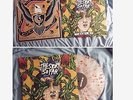 What You Don't See by The Story So Far (Vinyl, Mar-2013, Pure Noise)