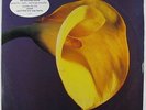 Swans - The Burning World LP - Uni VG++