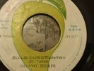 Delano Tucker Build Our Country Killer Roots 7