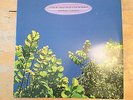 THE GO-BETWEENS 1978-1990 Rare 2LP Compilation