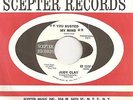 60s Northern Soul - JUDY CLAY - You busted my mind - US SCEPTER PROMO VG+