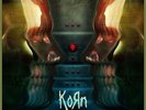 Paradigm Shift - Korn 12