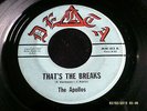 THE APOLLOS 45 THAT'S THE BREAKS RARE GARAGE ROCK (DELTA MM 183 PRIVATE PRESS)