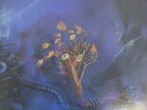The Moody Blues On The Threshold Of A Dream 13 Track Vinyl LP