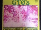 GTO's - PERMANENT DAMAGE (1st UK Press 1969 Straight STS 1059) zappa frank *VG*