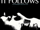 Disasterpeace It Follows Horror Soundtrack Split Blue Vinyl LP Record
