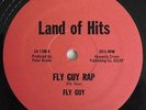 Fly Guy - Fly Guy Rap - Rare Disco Rap Land of Hits Peter Brown