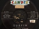 BEACH BOYS - 