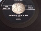 David Lee Temptation Is Callin' My Name Ruby Bargain