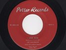 Carolina C&W Bopper LES WALDROOP I Love Dixie/Moonlight's A-Wastin' POTTER HEAR