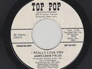 James Lewis Fields - I Really Love You / How Long Shall I Wait (Soul/Funk, 45)