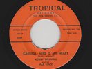 Bobby Williams - Darling Here Is My Heart / All The Time (Soul/Funk, 45)