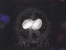 MARILLION - A SUNDAY NIGHT ABOVE THE RAIN