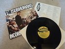 THE SUBHUMANS Incorrect Thoughts LP SUPERB NM W/INSERT ORIG 1980 PUNK DOA KBD