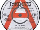 MCCOYS Up and Down / If You Tell A Lie (Immediate IM 029) UK 1966 DEMO 45 M-