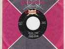 FOUR TEENS 'SPARK PLUG' / 'GO LITTLE GO CAT' RARE ROCKIN' REPRO 45.