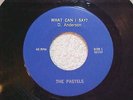 THE PASTELS (RARE GARAGE 1964)   WHY DON'T YOU LOVE ME?   CENTURY 22103