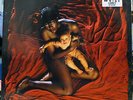 The Afghan Whigs: Congregation.1992 Sub Pop. Nirvana. Mudhoney.Rock.Indie. Rare