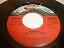 LITTLE DEVON 7'' TRASH & BRUCK JA DIGI ROOTS KILLER TOP CONDITION LISTEN