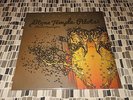 STONE TEMPLE PILOTS with CHESTER BENNINGTON HIGH RISE  10
