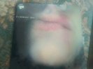 Dry + Bonus LP P.J. Harvey very rare 2-LP vinyl record (Double Album) UK PURED10