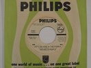 MINTY 1967 GARAGE PSYCH 45  THE HELLO PEOPLE  HIDE IN THE FOREST  PHILIPS PROMO