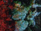 Earth Legacy Of Dissolution 2x Vinyl LP Record sunn 0 mogwai jim o rourke NEW+