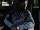 LP BOOKER T Evergreen