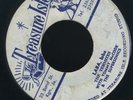 1445 TERMITES-LABA LABA-T MCCOOK-REGGAY-TREASURE ISLE-REGGAE 45 7
