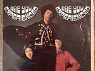Jimi Hendrix Experience, The ?– Are You Experienced    LP 1967