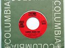 BRUCE & TERRY 45 Summer Means Fun / Yeah VG++ Surf BEACH BOYS Columbia e589