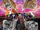 The Underachievers - Colored Deluxe Vinyl Bundle Vinyl 4LP DAdlx09523101n