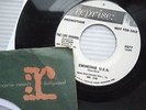 the LIFE GUARDS Swimtime U.S.A b/w Swim Party 1964 WHITE LABEL PROMO surf 45 e12