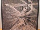 NMH Vinyl Box Set [Box] by Neutral Milk Hotel Vinyl Dec 2011 7 Discs And Poster