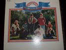 The Beach Boys - Sunflower - Vinyl Record Album LP - VG+ to VG++