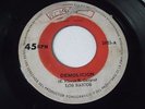 LOS SAICOS 