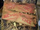 AC/DC T.N.T vinyl record