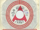 DR WEST'S MEDICINE SHOW & JUNK BAND   You Can Fly   psych promo (NM)   GO GO $