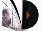Pearl Jam - Vs. 180grm music on vinyl reissue
