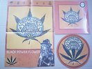 Brant Bjork Black Power Flower (Limited WEED Edition Orange Vinyl LP) KYUSS